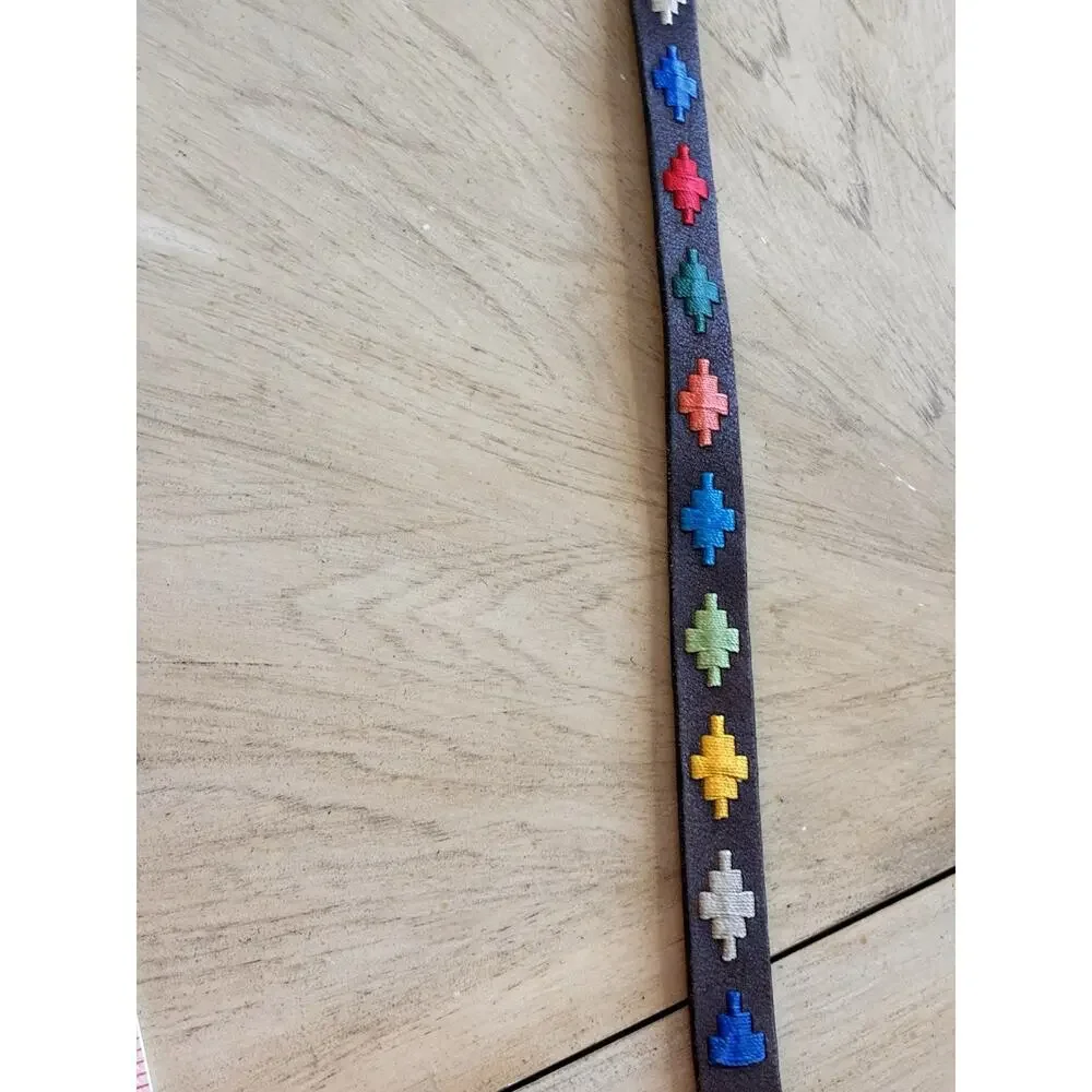 Arandu Argentina Kids Polo Belt Leather Colorful Embroidered Gaucho 60cm 3-4 Yrs